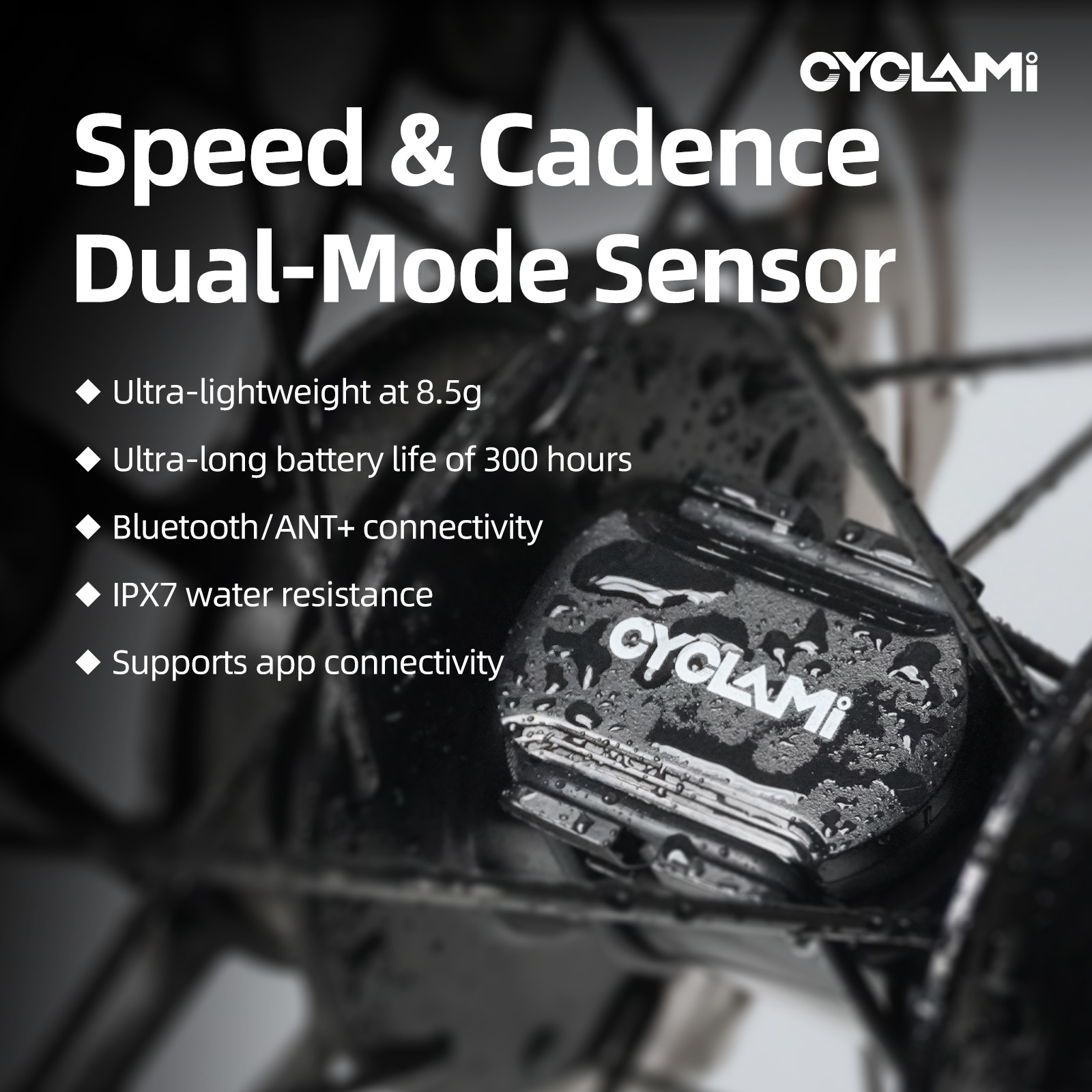 CYCLAMI C2 Cadence Speed Dual  - Cycling Speed Cadence Sensor Dual 评论和价格